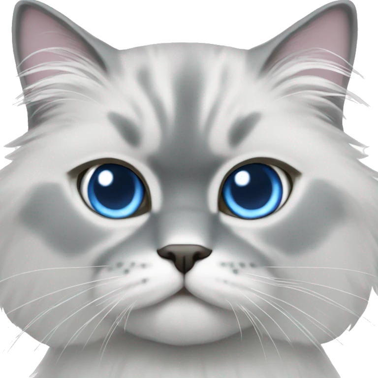 Silver Persian male cat blue eyes emoji