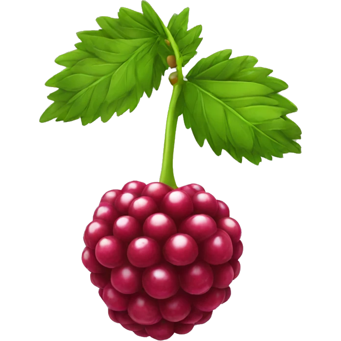 rasperry emoji