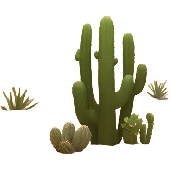 Generate an emoji of a desert landscape with sand dunes, a glowing sunset in the background, and a cactus in the foreground. Use warm oranges, yellows, and reds to create a dramatic and aesthetic desert scene. emoji