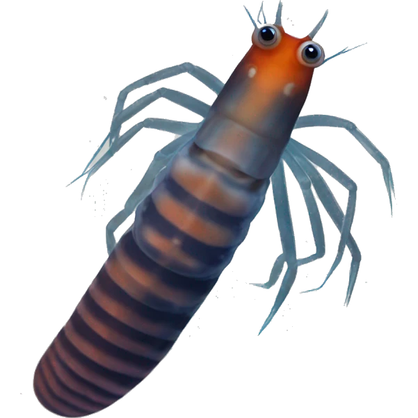 Caribbean Dwarf Filter Shrimp(11) emoji