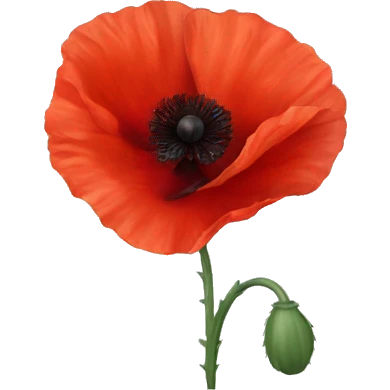 Red poppy flower emoji