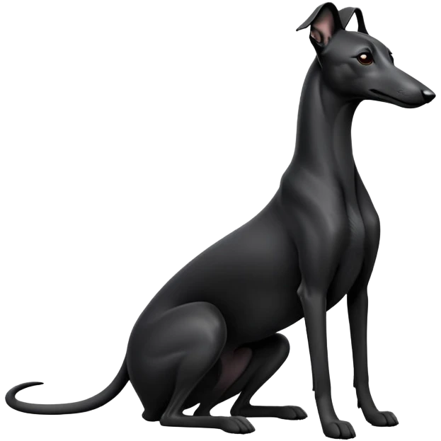 cinematic-[black greyhound]-realistic-full-body-sitting-emoji,-tail-resting-loosely-beside-its-paws,-head-tilted-dramatically, -sleek-[black]-fur,-simplified-yet-realistic-focused-features,-highly-detailed,-glowing-with-an-almost-sarcastic-glow emoji
