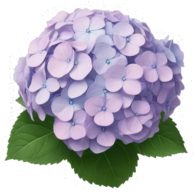 hydrangea emoji