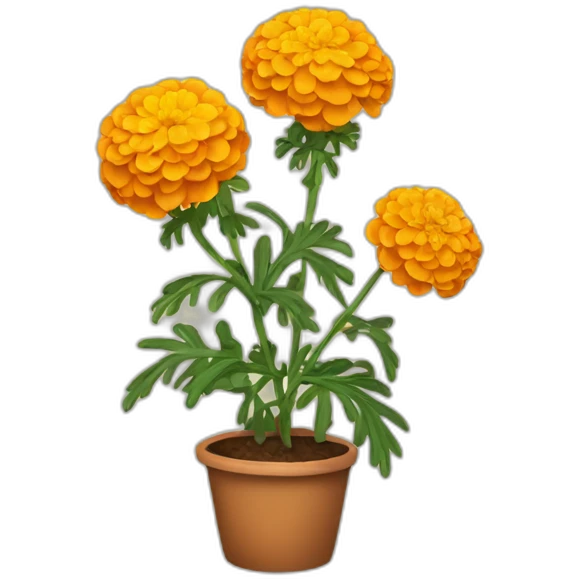 MARIGOLD PLANT emoji