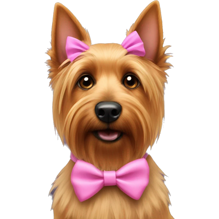 Australian terrier dog wearing a pink bow around neck emoji