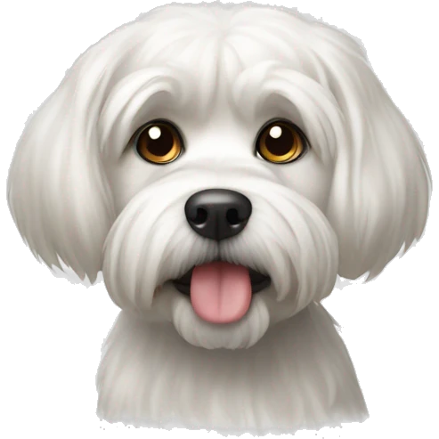White dog shitzu emoji