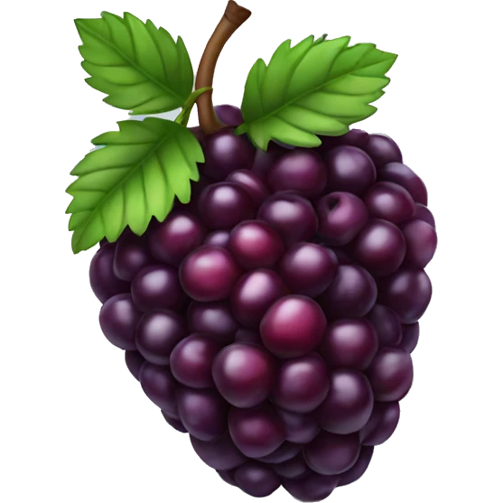 Blackberry fruit emoji