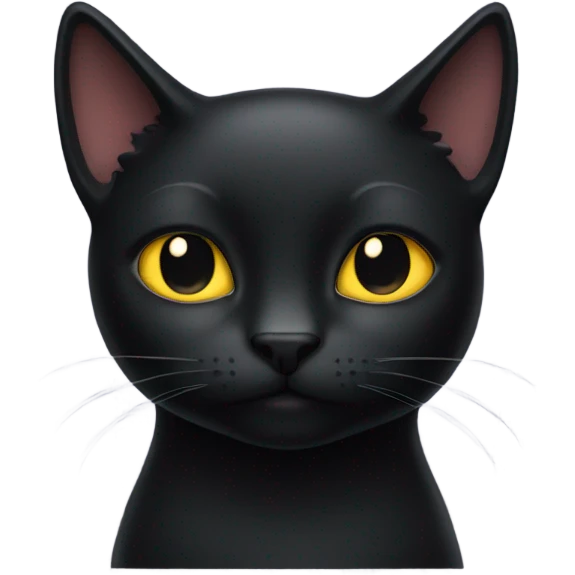 black cat judging you emoji