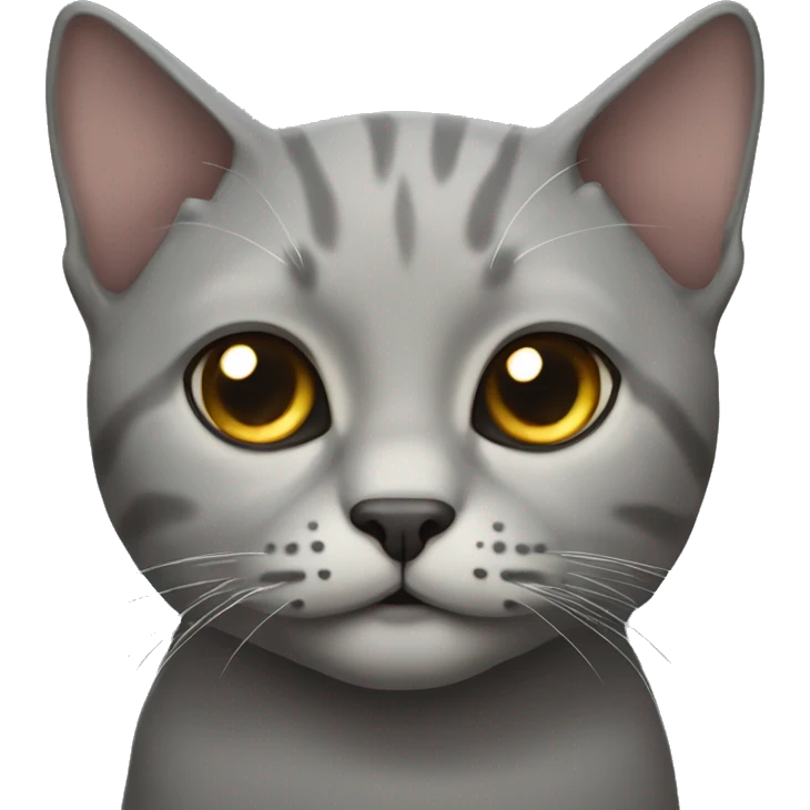 Grey skottish fold cat emoji