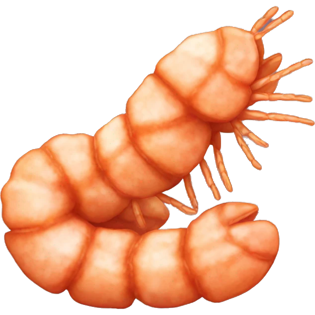 Breaded shrimp emoji