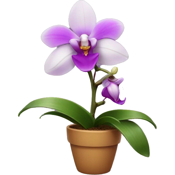 Orchid plant emoji
