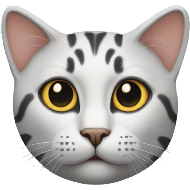 Cat black emoji