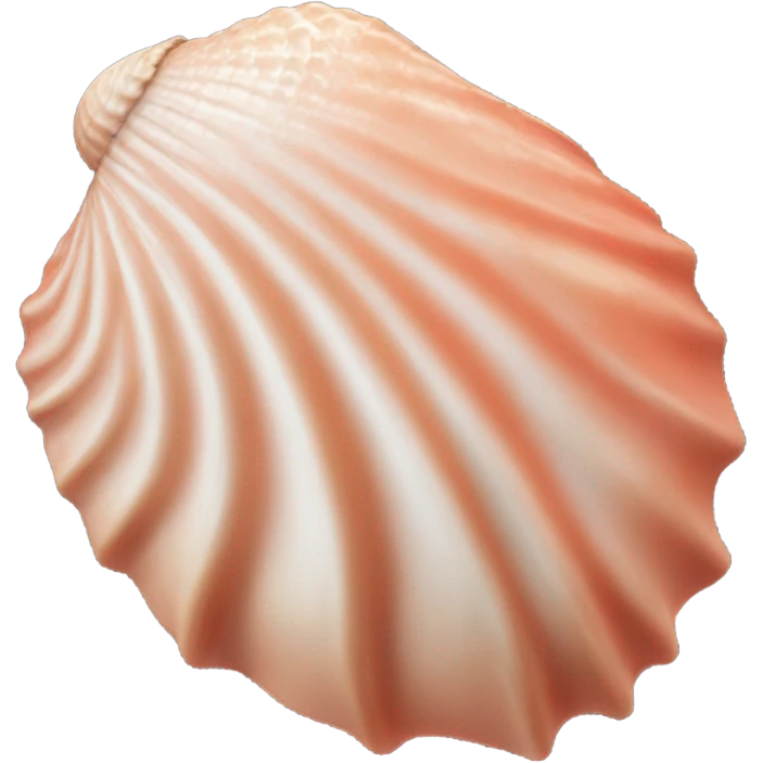 Coral-colored seashell emoji