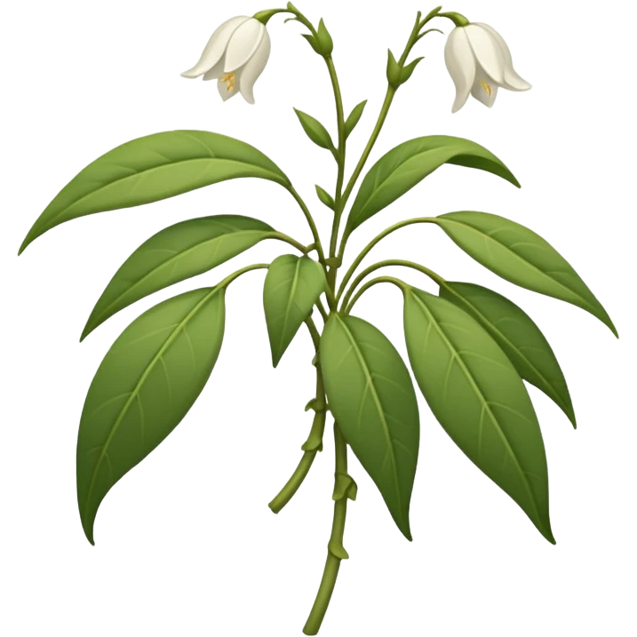 wilted jasmine emoji emoji