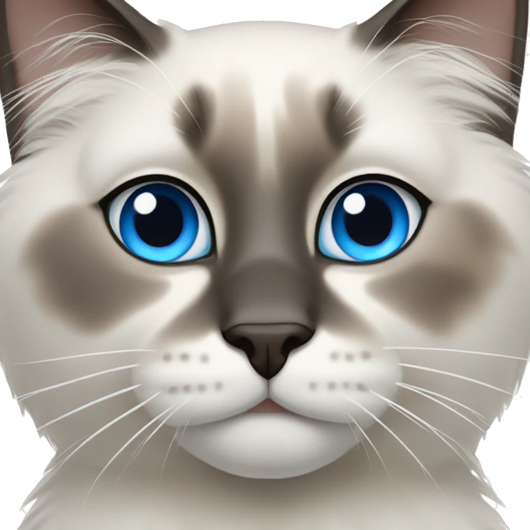 A ragdoll cat with blue eyes emoji