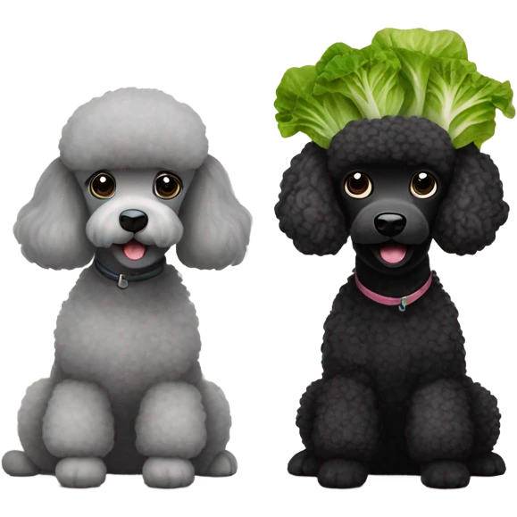 Black poodle and light grey poodle sitting together eating lettuce  emoji
