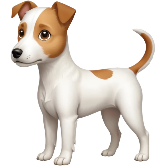 a full body slightly chubby white parson russell terrier looking dog the size of a kelpie with light brown long ears and a light brown patch on one eye and a large snout. the rest of the dog is completely whiteforward facing emoji
