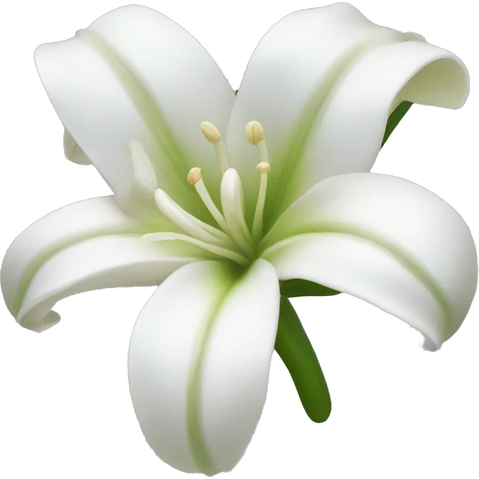 White lilie flower emoji