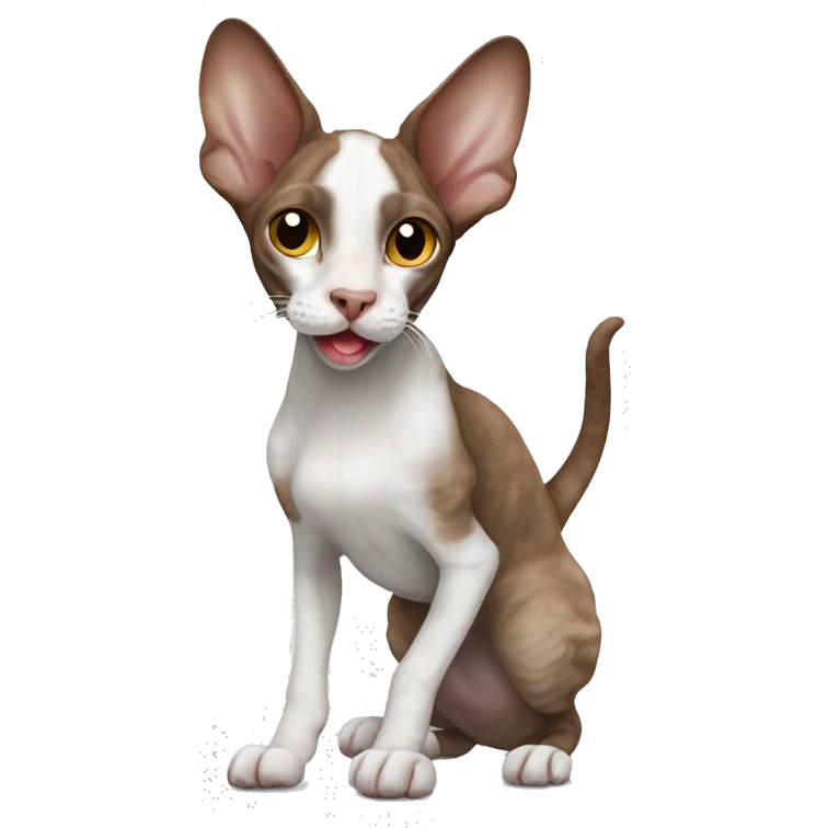 Brown snd white cornish rex waving  emoji