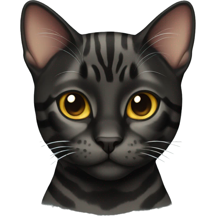 Black bengal cat  emoji