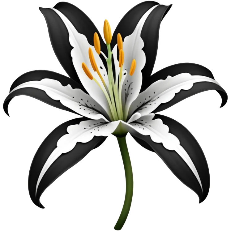 an outline of one singular lily flower, no colour,just outline emoji
