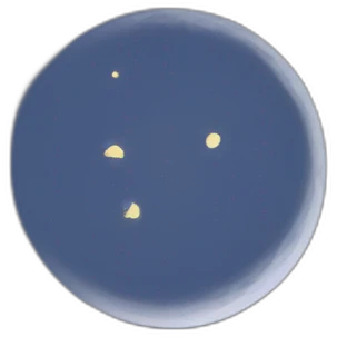 Night sky with moon emoji