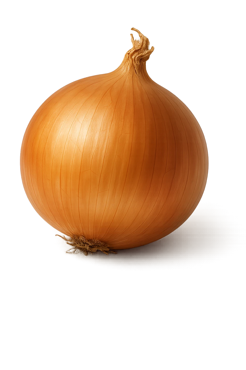 cipolla realistica, iperrealistico 4k emoji