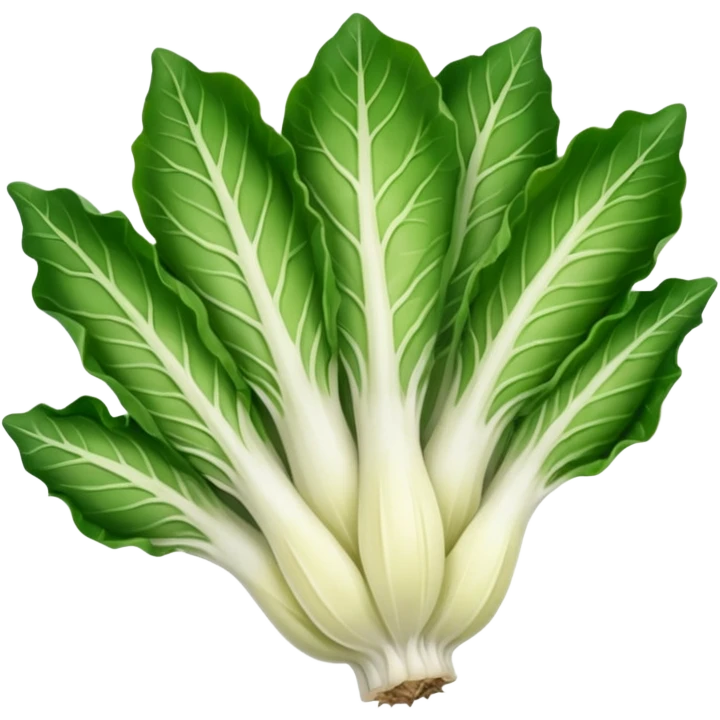 green blegian endive radicchio smooth emoji