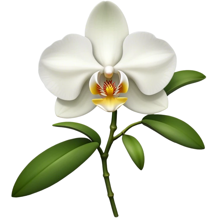 Orchid flower emoji