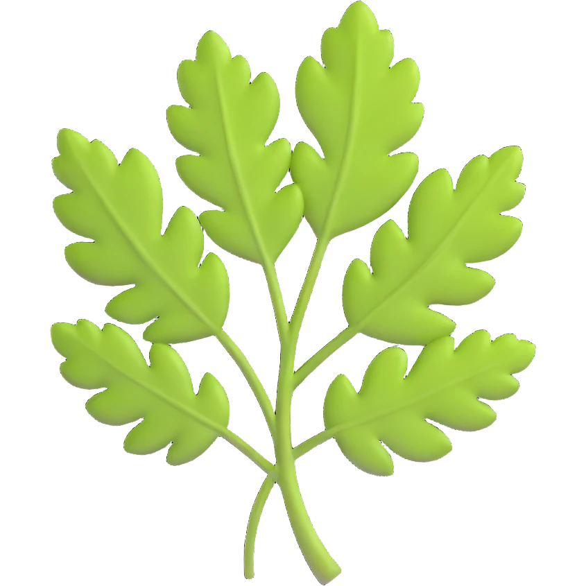 cilantro leaf, clean, minimal, cute, well-lit, soft shadow, white background emoji