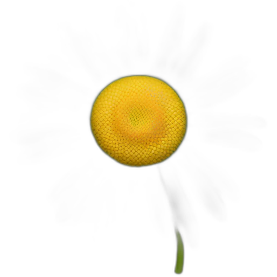 daisy detailed emoji