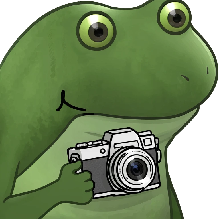 bufo frog sightseeing in a city, holding a camera, looking excited emoji