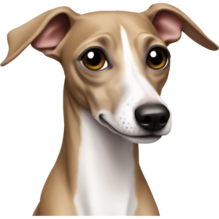 Italian greyhound emoji