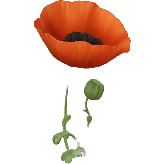 poppy emoji