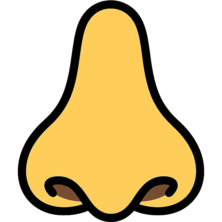 colored outline icon of a nose emoji