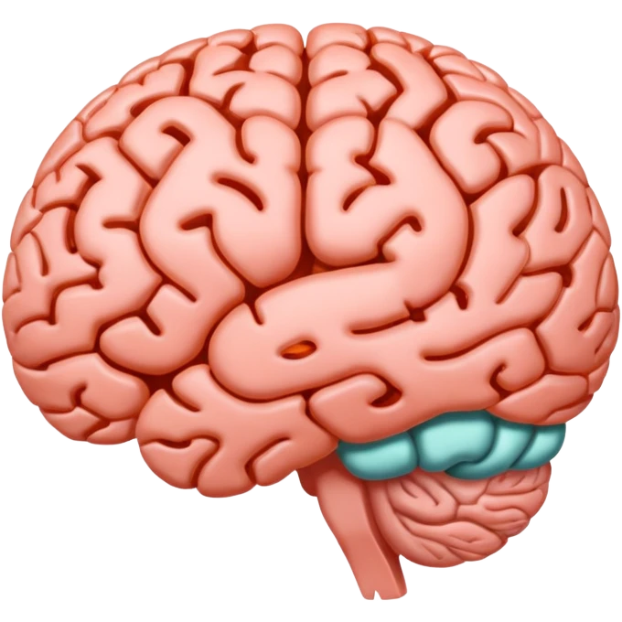 Brain being fully developed at the age of 25 emoji