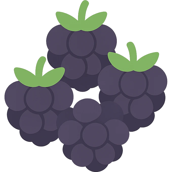 sweet blackberries, minimal flat icon, simple shapes emoji