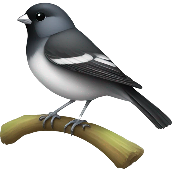 bird black with white belly junco emoji