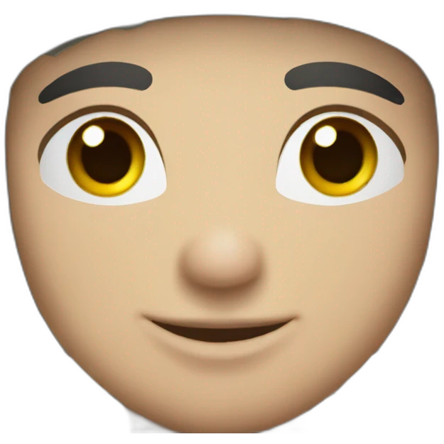 Piper PA28 emoji