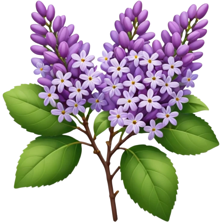 Purple Lilac emoji