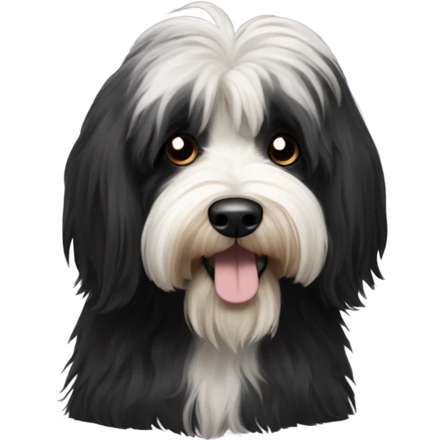 Tibetan terrier, all black fur  emoji