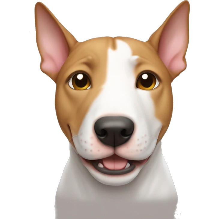 Bullterrier dog caramel color with a british shorthair cat emoji