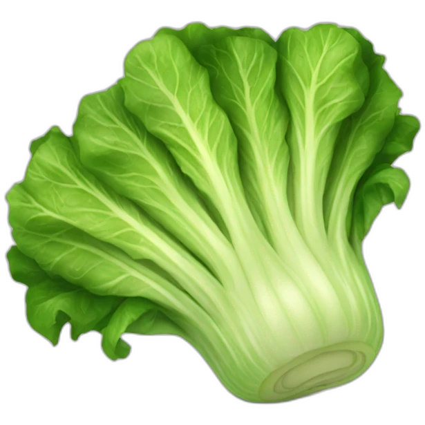 romaine lettuce emoji