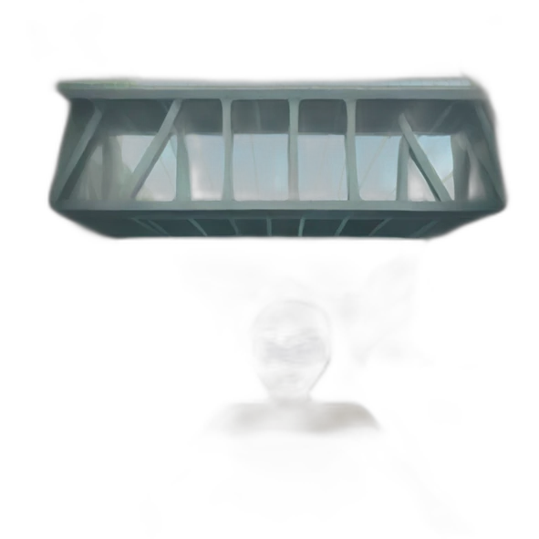 a swimmer living under a bridge emoji
