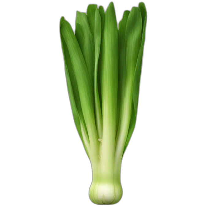 leek emoji