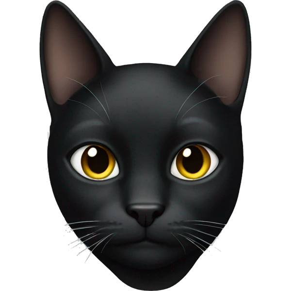Head Black cat black background emoji
