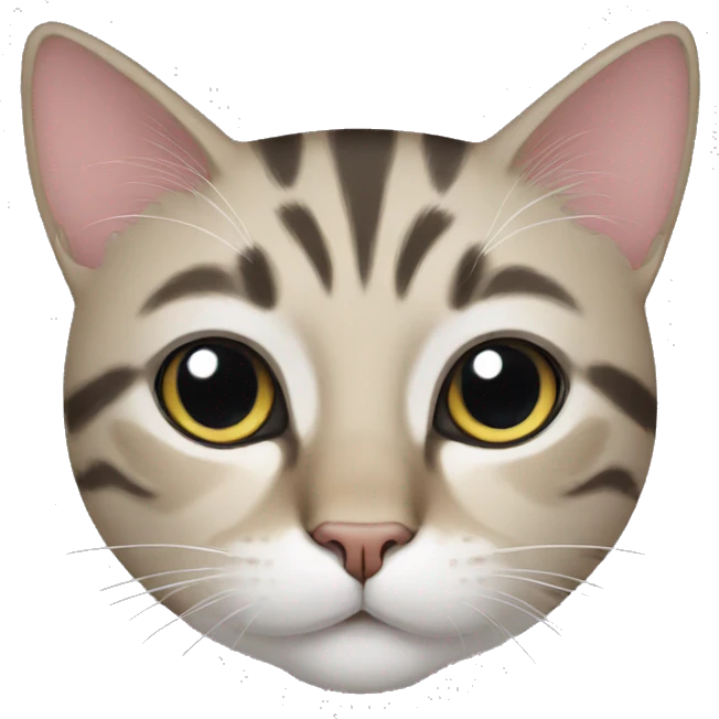 cat emoji