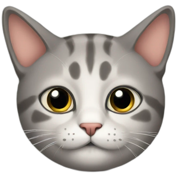 cat thinking emoji