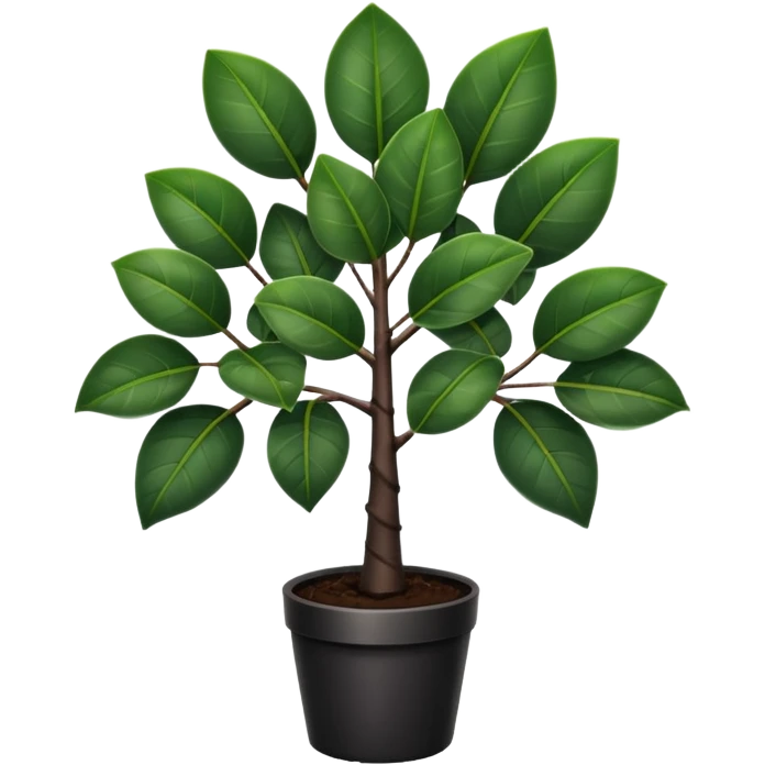 Black rubber tree plant emoji
