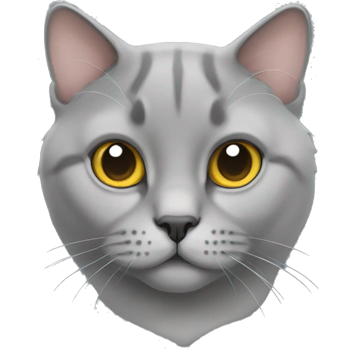 gray fold british cat emoji